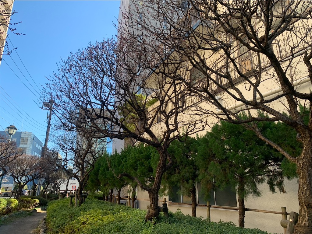 f:id:kaznoco:20260102071029j:image