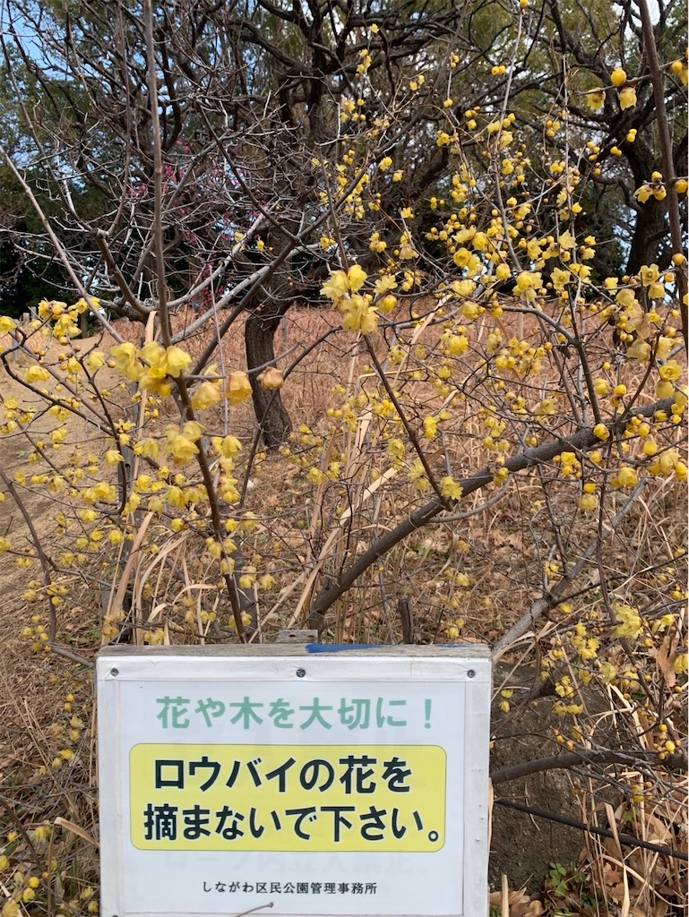 f:id:kaznoco:20260120071952j:image f:id:kaznoco:20260120071952j:image
