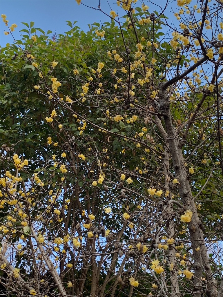 f:id:kaznoco:20260120071958j:image f:id:kaznoco:20260120071958j:image