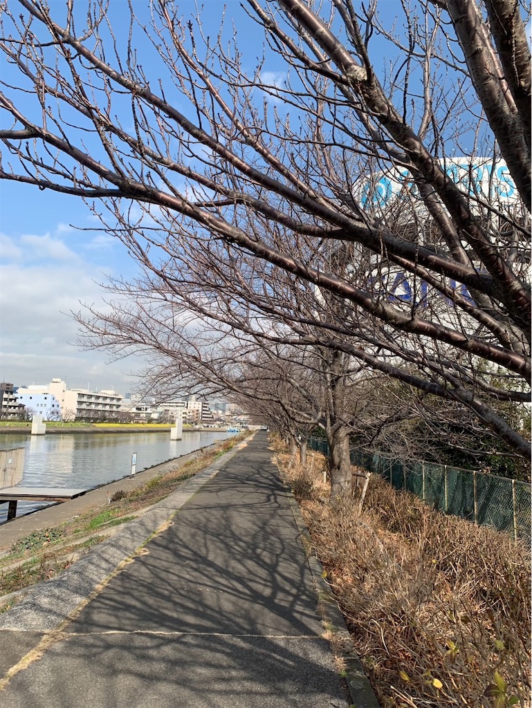 f:id:kaznoco:20260120072222j:image f:id:kaznoco:20260120072222j:image