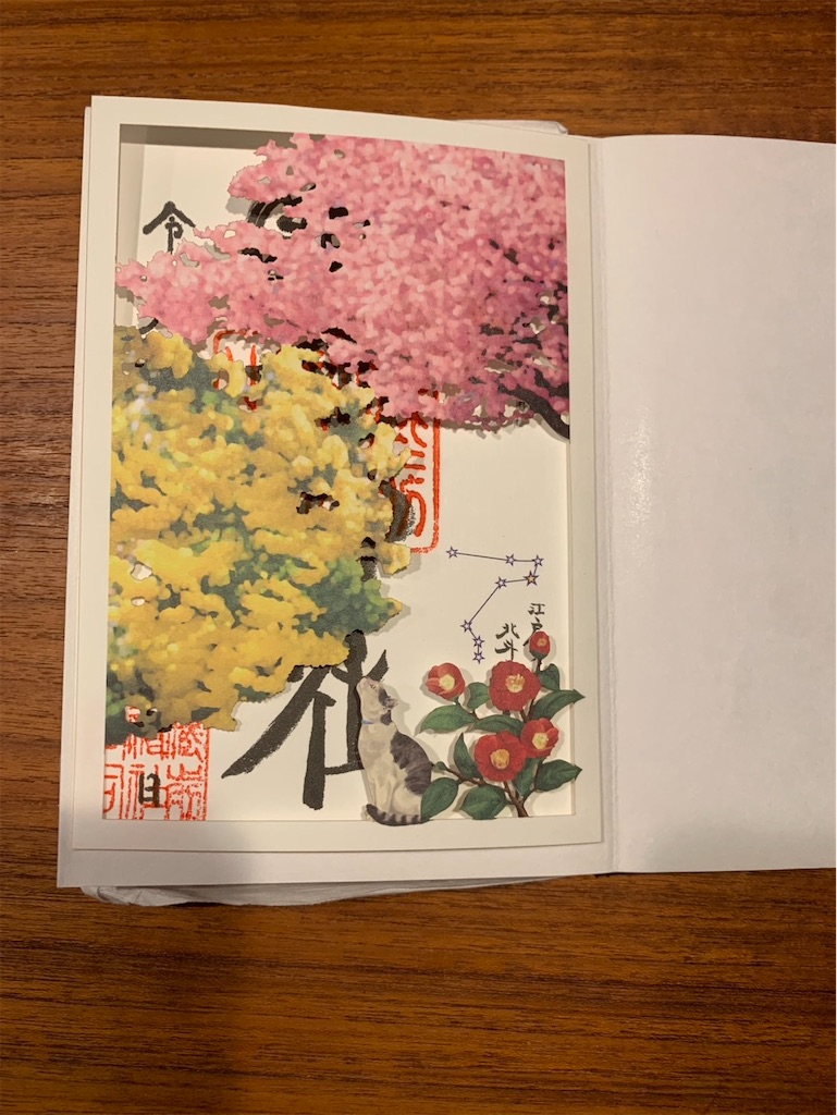 f:id:kaznoco:20260224001131j:image