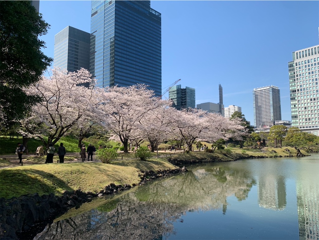 f:id:kaznoco:20260404120049j:image