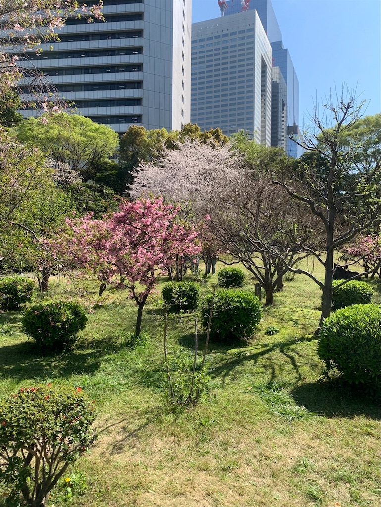 f:id:kaznoco:20260404120056j:image