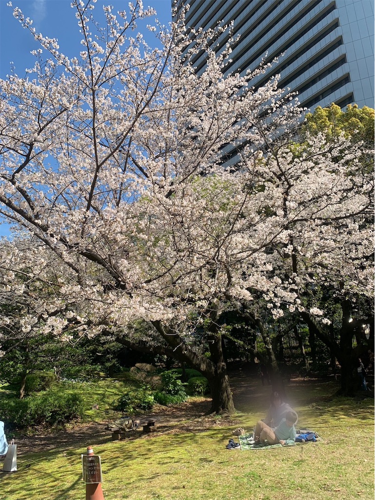 f:id:kaznoco:20260404120217j:image