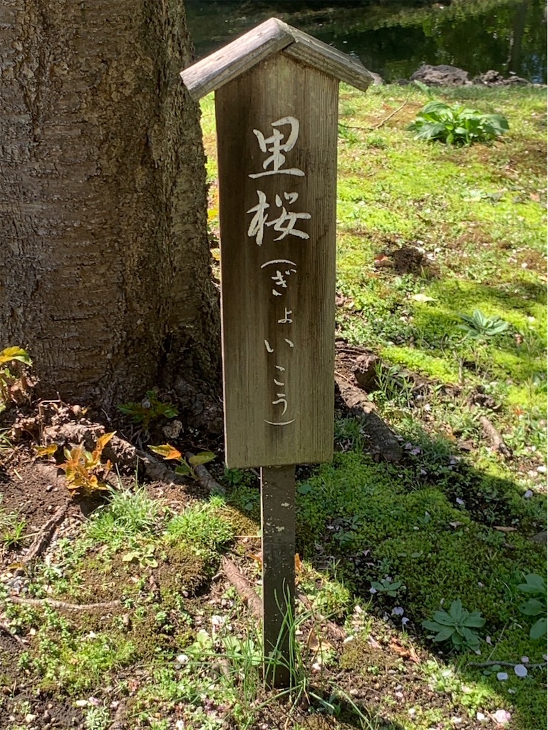 f:id:kaznoco:20260404120259j:image