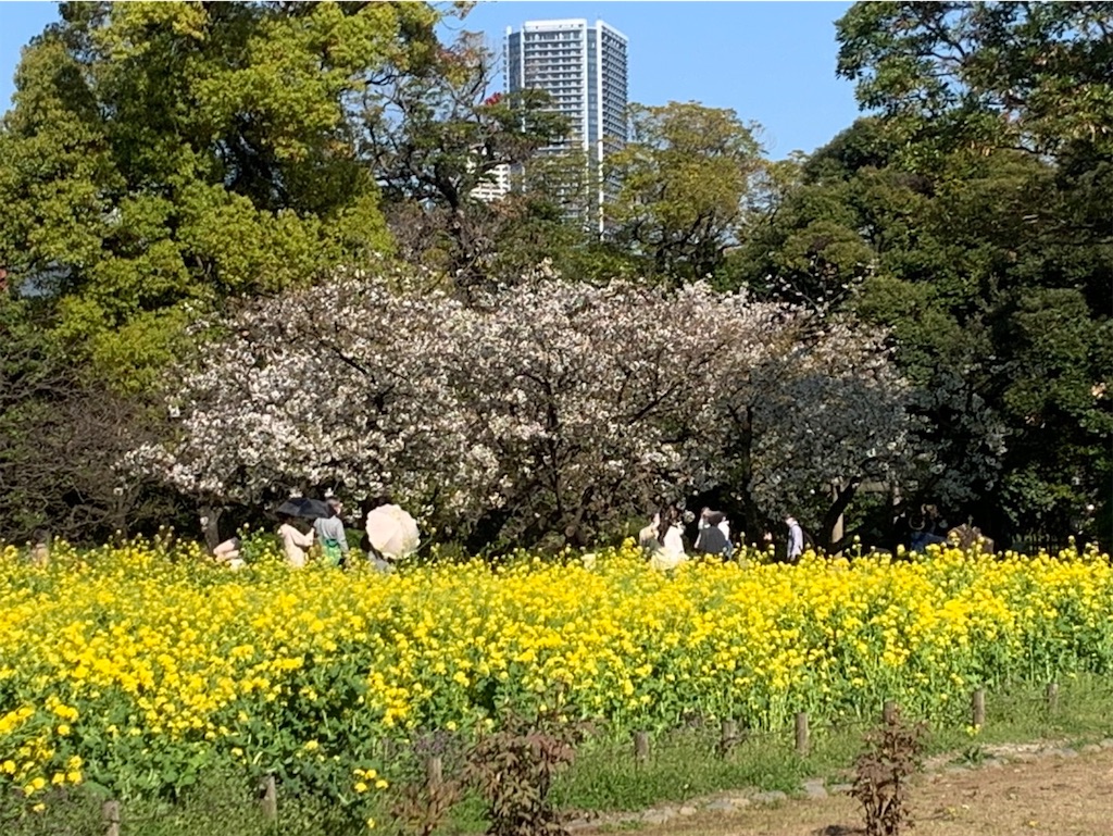 f:id:kaznoco:20260404120924j:image