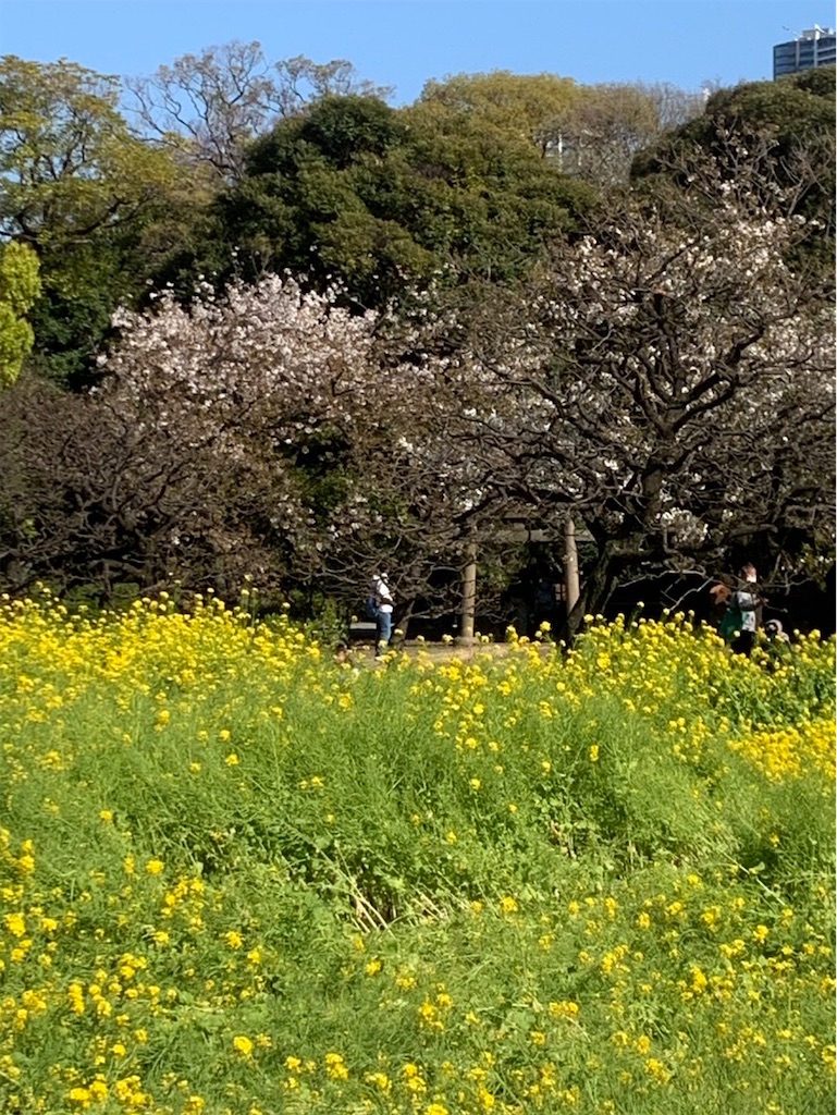 f:id:kaznoco:20260404120928j:image