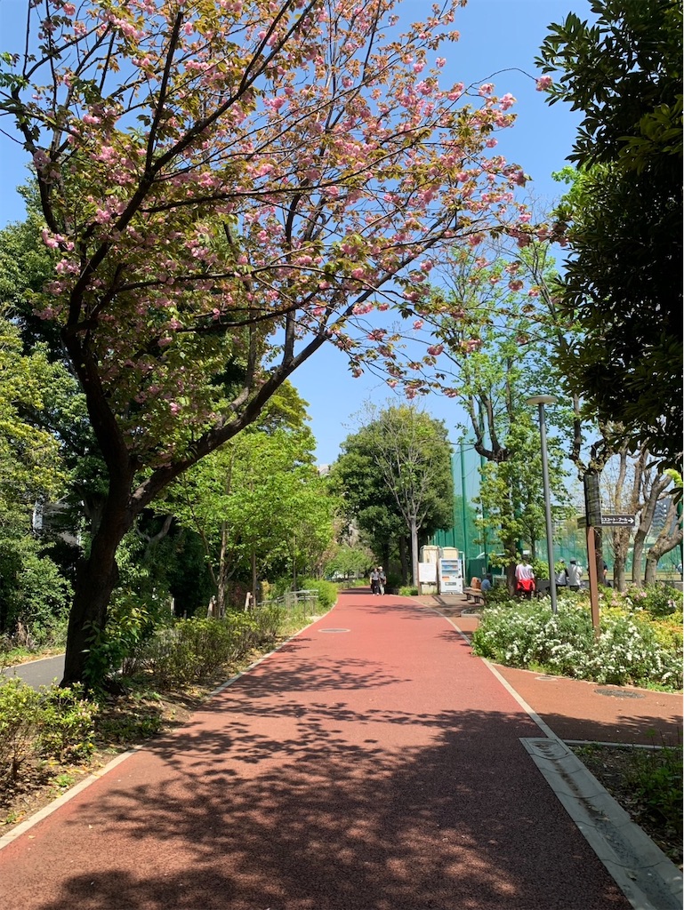 f:id:kaznoco:20260412085909j:image