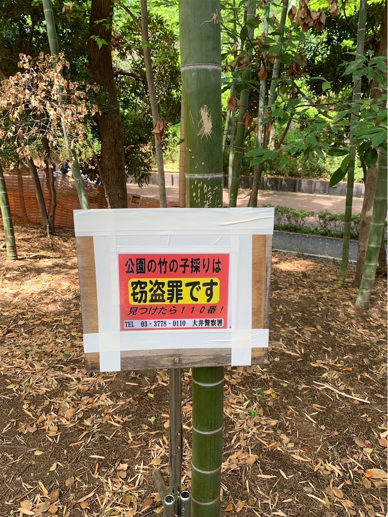 f:id:kaznoco:20260419185420j:image f:id:kaznoco:20260419185420j:image