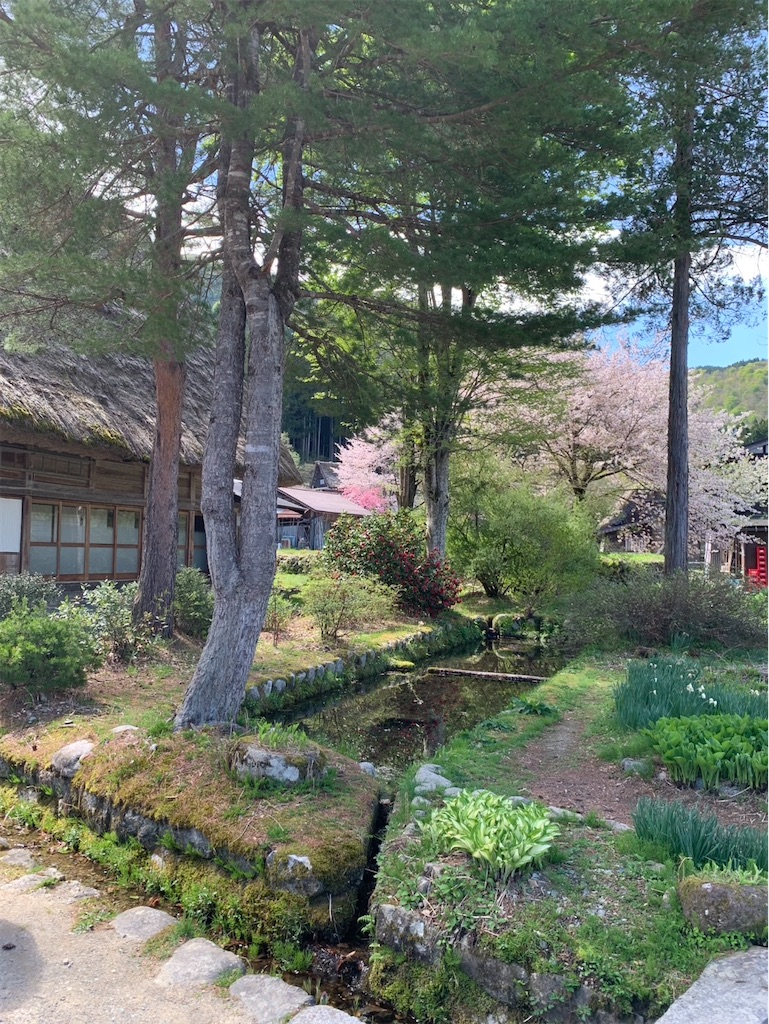 f:id:kaznoco:20260423062146j:image f:id:kaznoco:20260423062146j:image