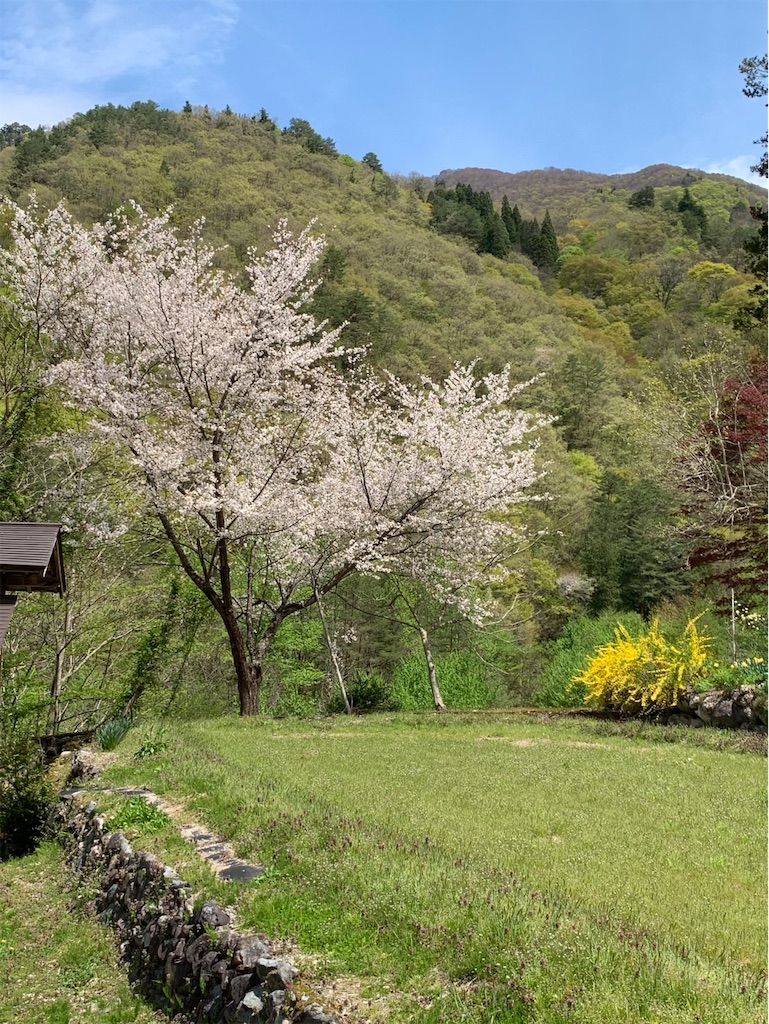 f:id:kaznoco:20260423072950j:image f:id:kaznoco:20260423072950j:image