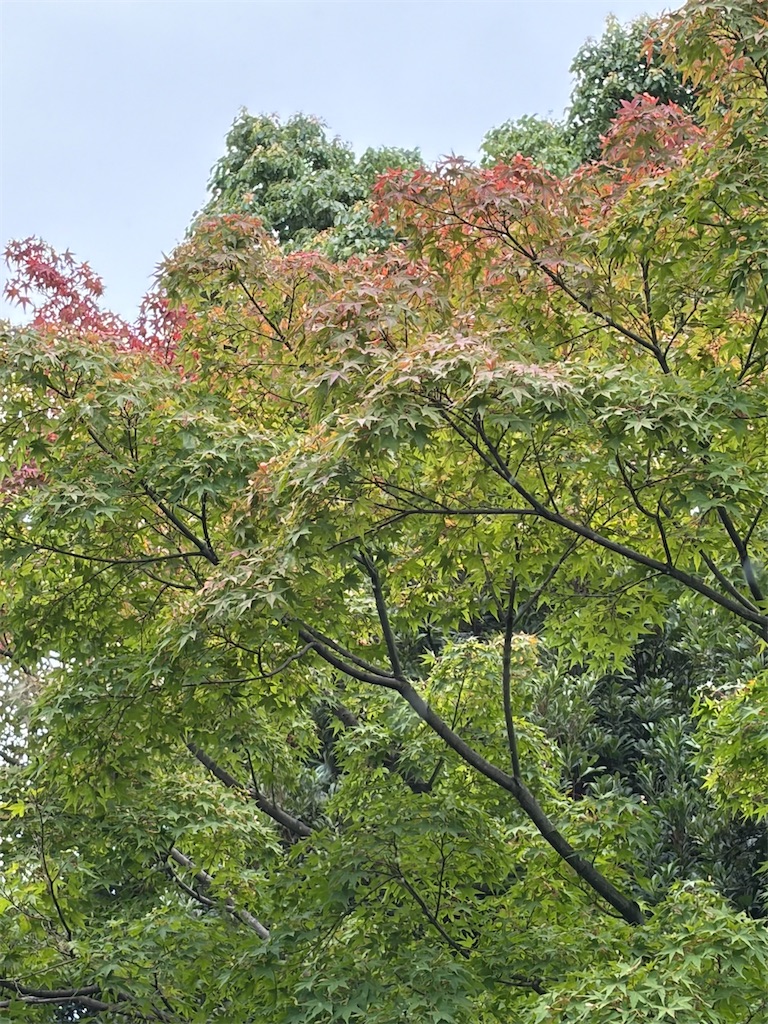 f:id:kaznoco:20260821063151j:image f:id:kaznoco:20260821063151j:image