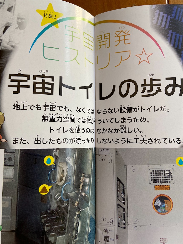 f:id:kazokunonekko:20210416134838j:image