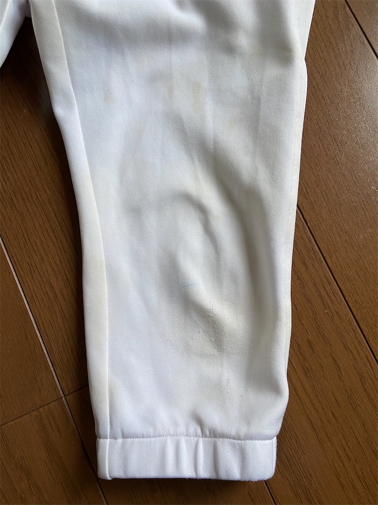 f:id:kazokunonekko:20210623094406j:image