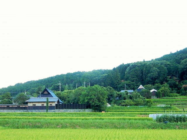 f:id:kazoocom:20190220001215j:plain