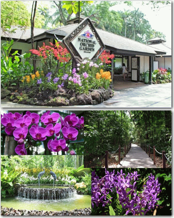 f:id:kazooman:20170218220607g:plain f:id:kazooman:20170218220607g:plain