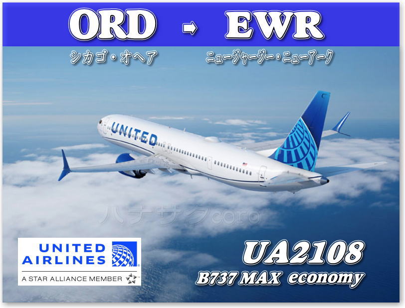 ユナイテッド航空 みずみずし クラブラウンジ ワンタイムパス
