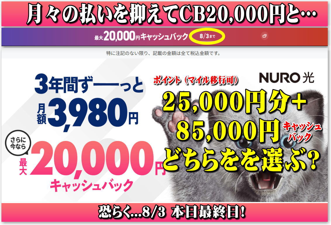 本日最終？！NURO光キャンペーン。3年間 月々3,980円+キャッシュバック20,000円 or 25,000円分のpoint+キャッシュバック85,000円...どっちを選ぶ？  - 独りぼっちのお気楽マイル道 ANA SFC 思想”たまには贅沢もいいじゃない？”