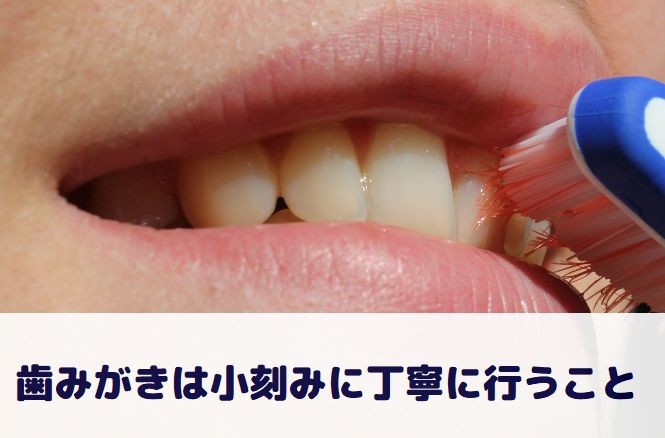 f:id:kazpa01:20180803002931j:plain f:id:kazpa01:20180803002931j:plain