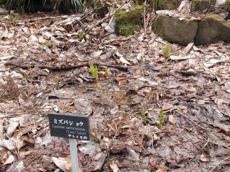 f:id:kaztsuda:20120407162540j:image:w360