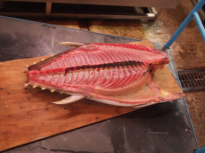 f:id:kaztsuda:20121014111939j:image:w360:left