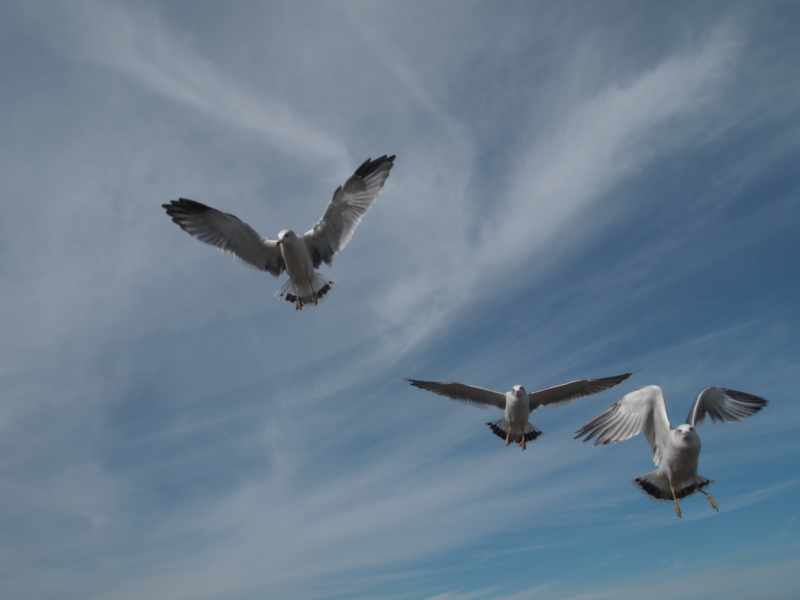 f:id:kaztsuda:20121014120633j:image:w360:left