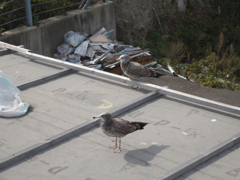 f:id:kaztsuda:20121014120830j:image:w360:left