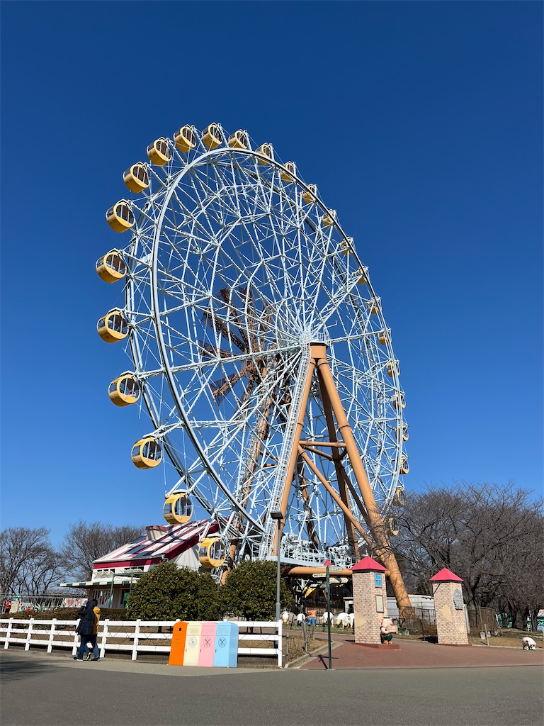 f:id:kazu-G:20240213172509j:image