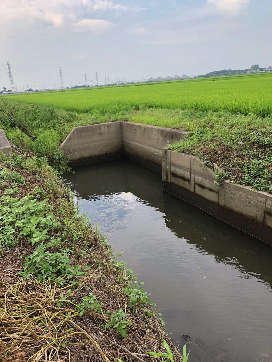 明日晴たら釣りに行かせて