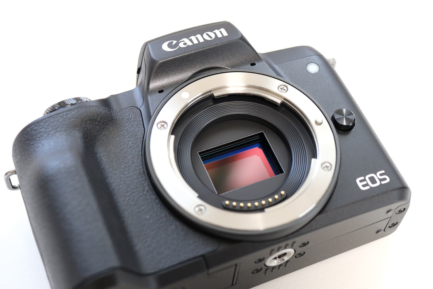 EOS Kiss M レビュー！コンパクトで軽いのに高性能！AFの精度と追従性能が大きく進化！ シンスペース