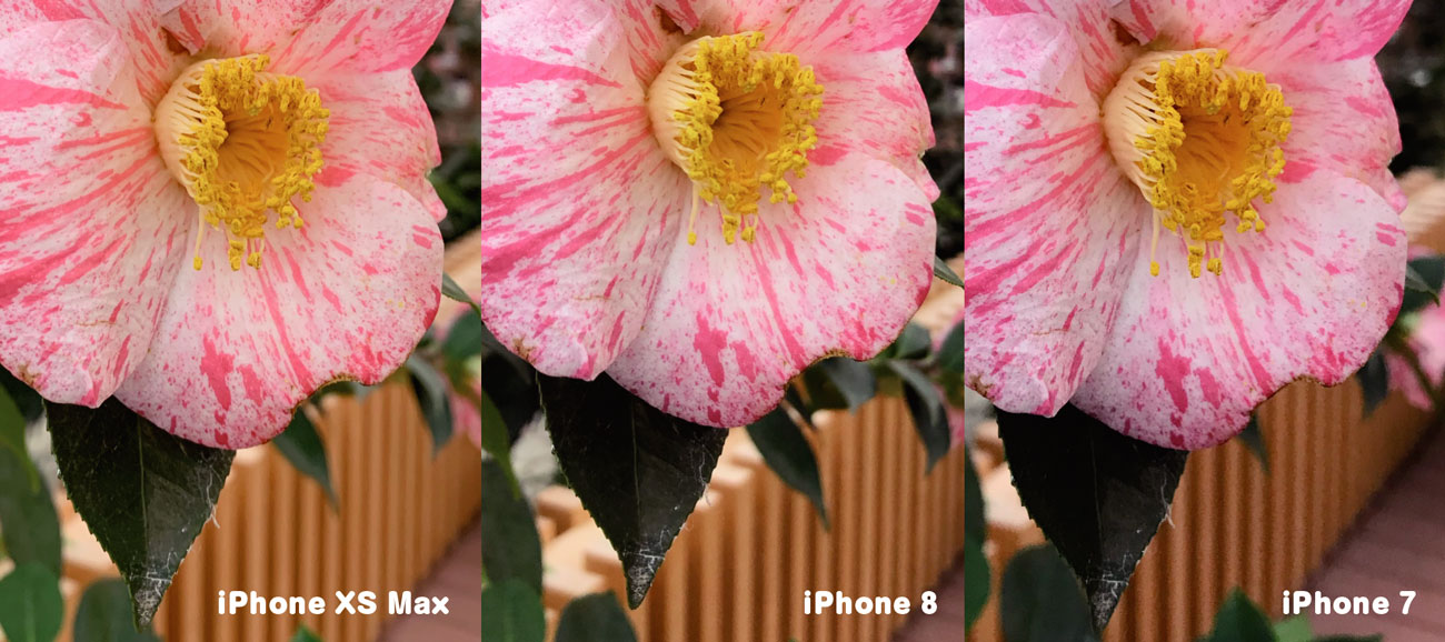iPhoneのリアカメラ 画質の違い