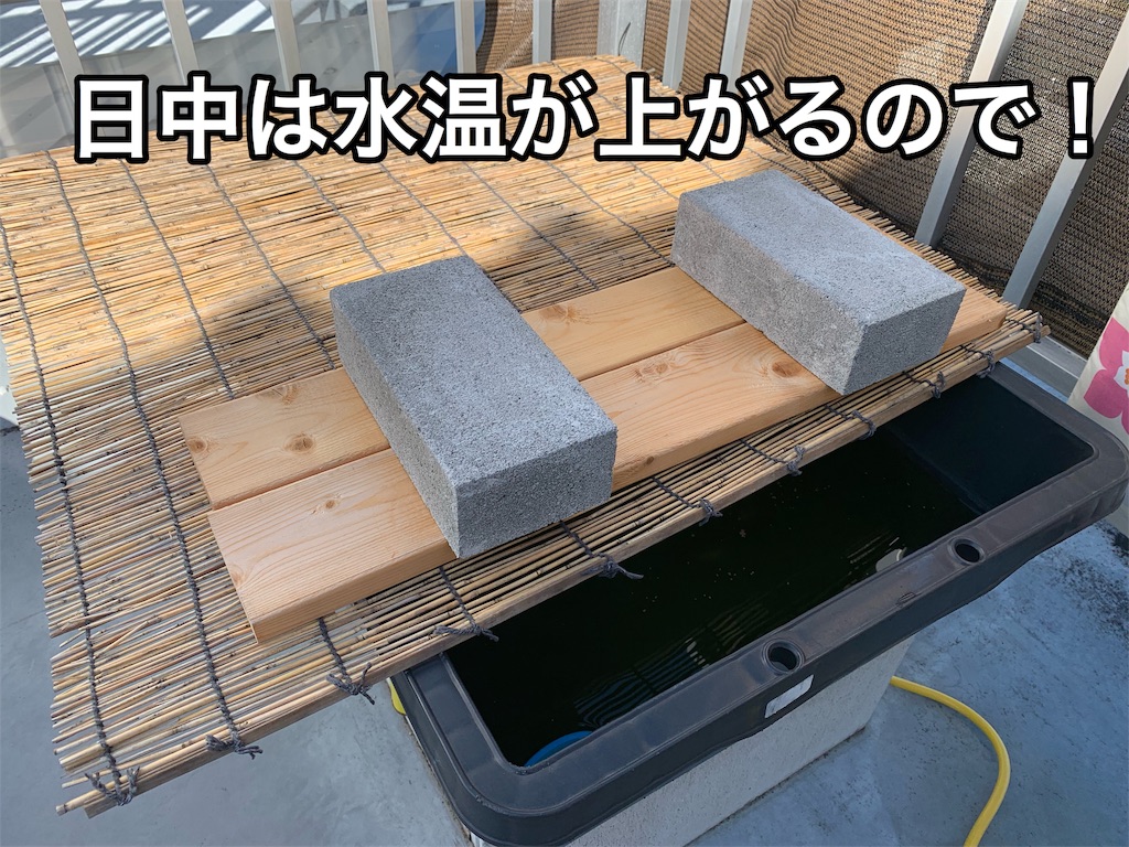 f:id:kazu-ranchu:20190925155456j:image