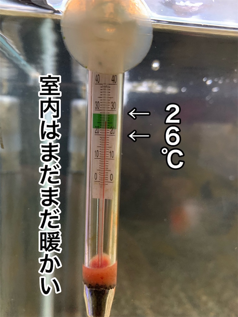 f:id:kazu-ranchu:20190926191350j:image
