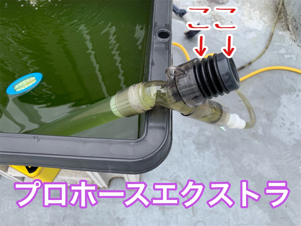 f:id:kazu-ranchu:20190928223007j:image