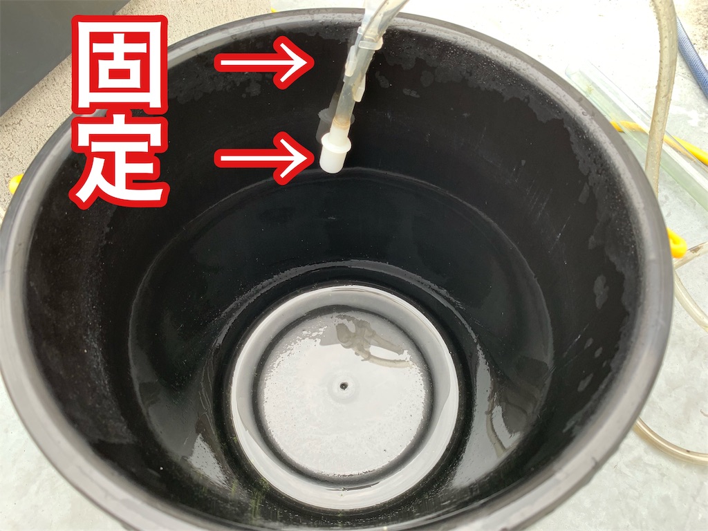 f:id:kazu-ranchu:20190928223942j:image