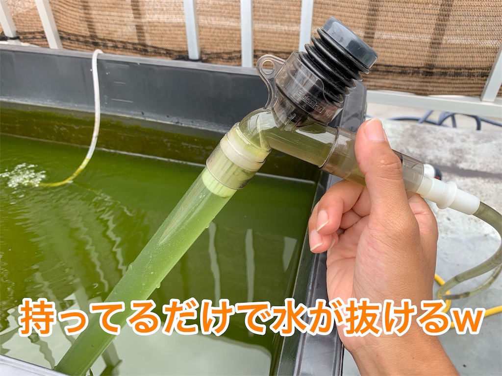 f:id:kazu-ranchu:20190928224009j:image