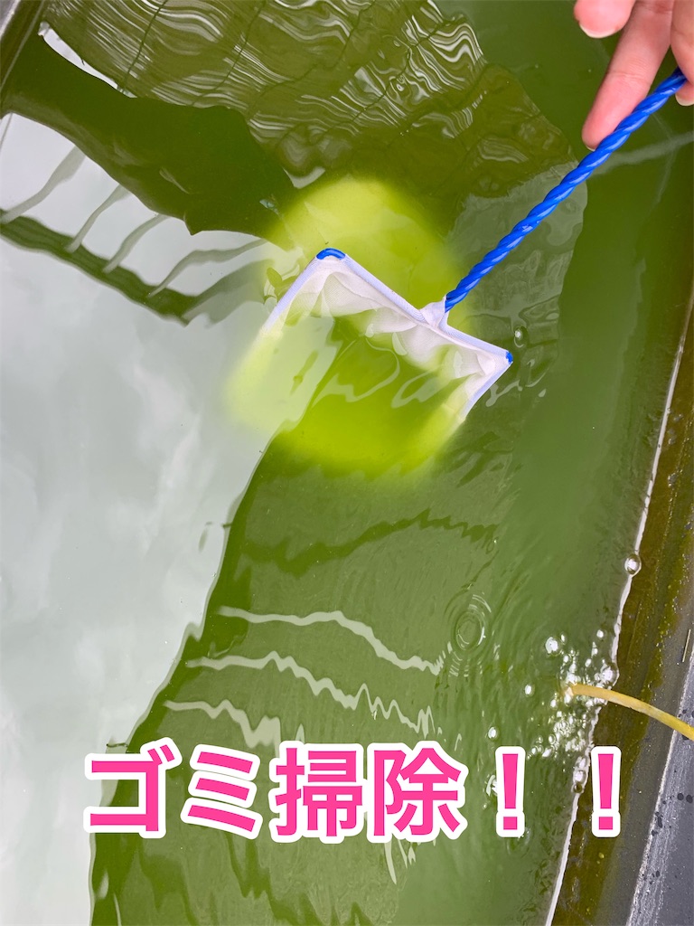 f:id:kazu-ranchu:20190928224556j:image