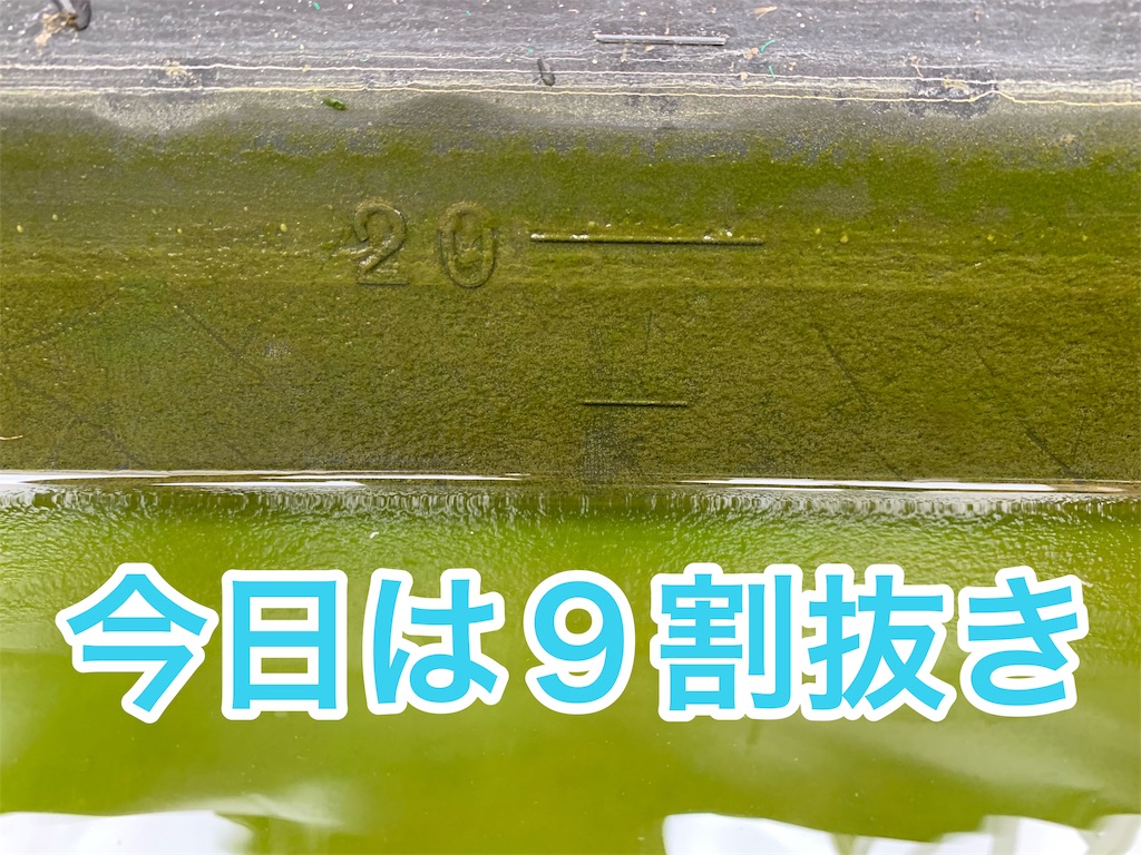 f:id:kazu-ranchu:20190928225235j:image