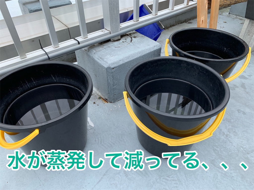 f:id:kazu-ranchu:20190928225514j:image