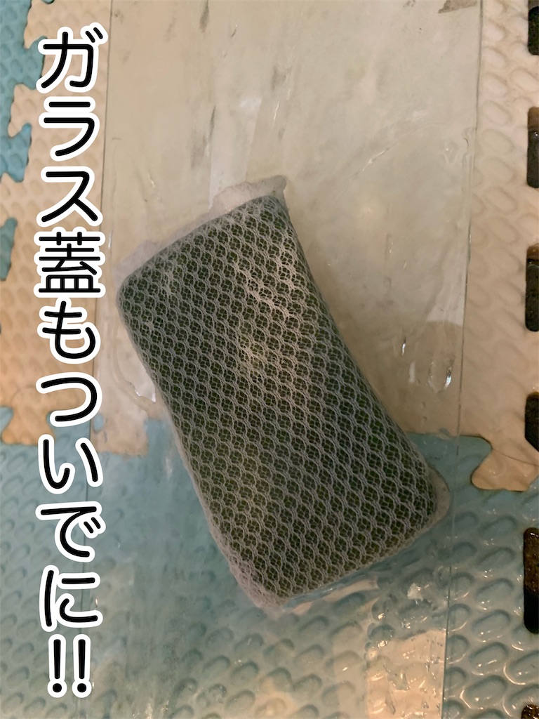f:id:kazu-ranchu:20190930211857j:image