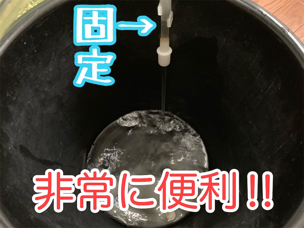 f:id:kazu-ranchu:20190930233055j:image