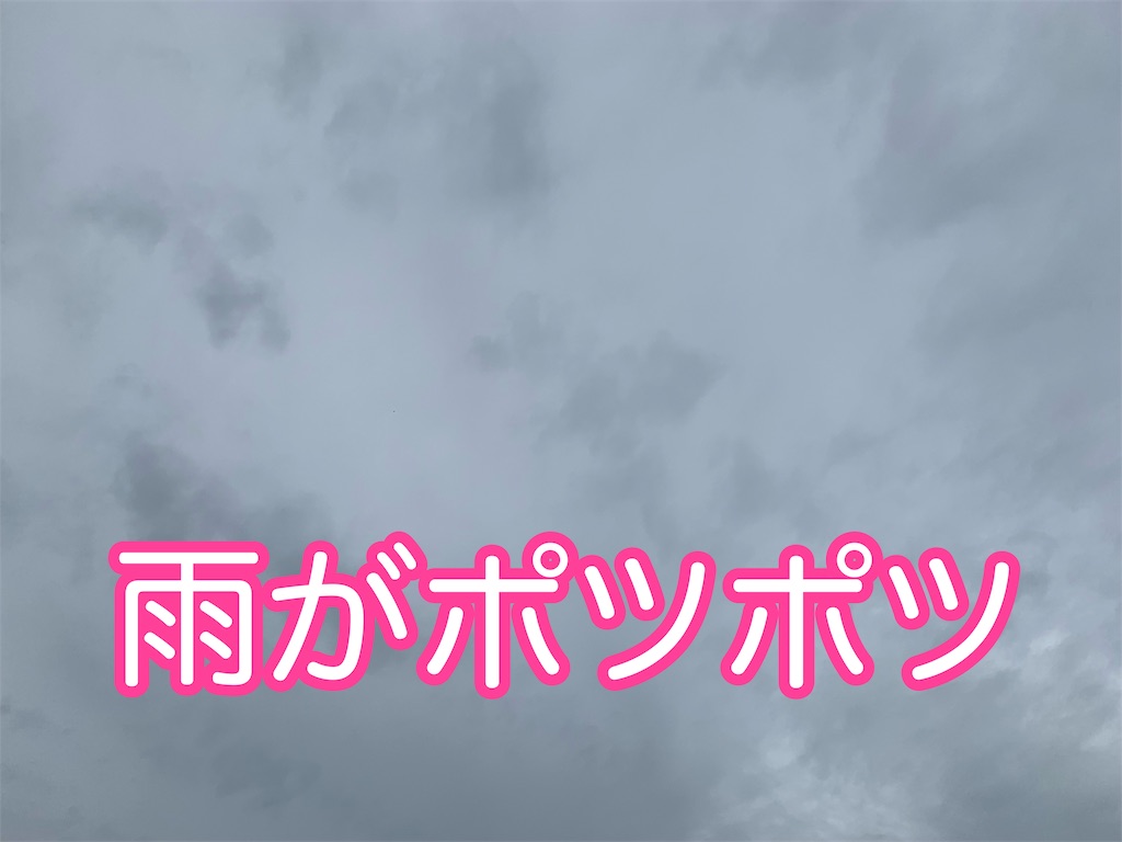 f:id:kazu-ranchu:20191002122149j:image