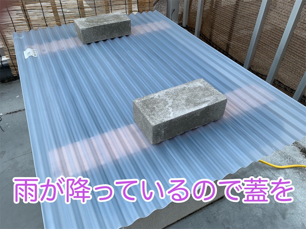 f:id:kazu-ranchu:20191002155656j:image