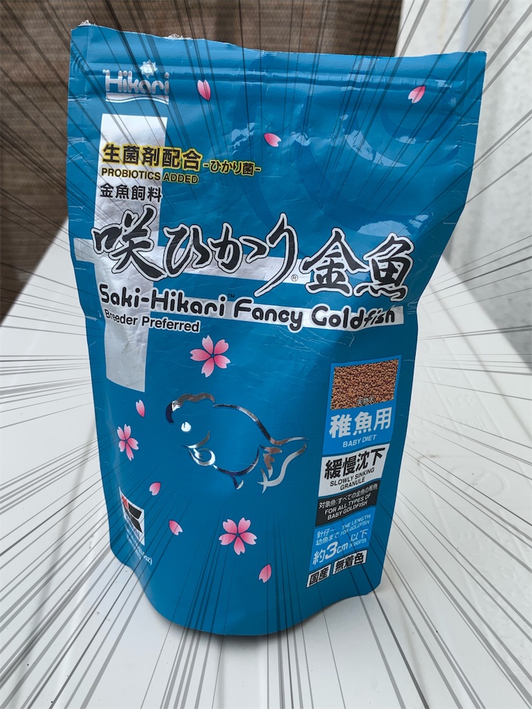 f:id:kazu-ranchu:20191002155822j:image