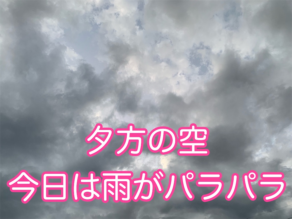 f:id:kazu-ranchu:20191004190856j:image