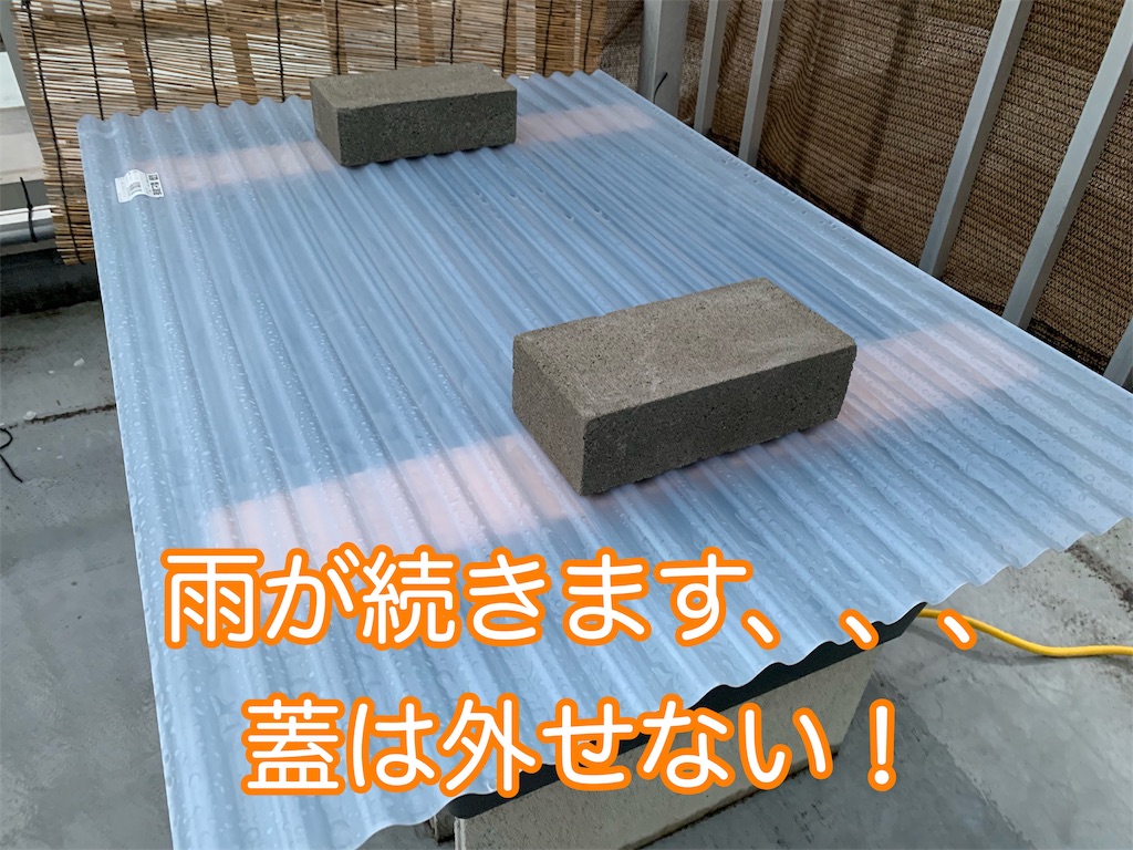 f:id:kazu-ranchu:20191004191112j:image