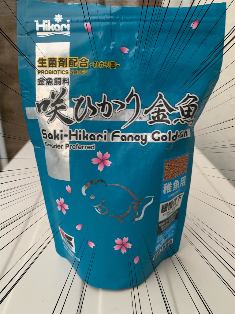 f:id:kazu-ranchu:20191004192548j:image