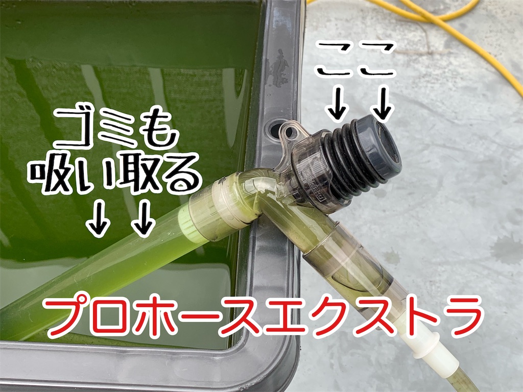 f:id:kazu-ranchu:20191009181842j:image