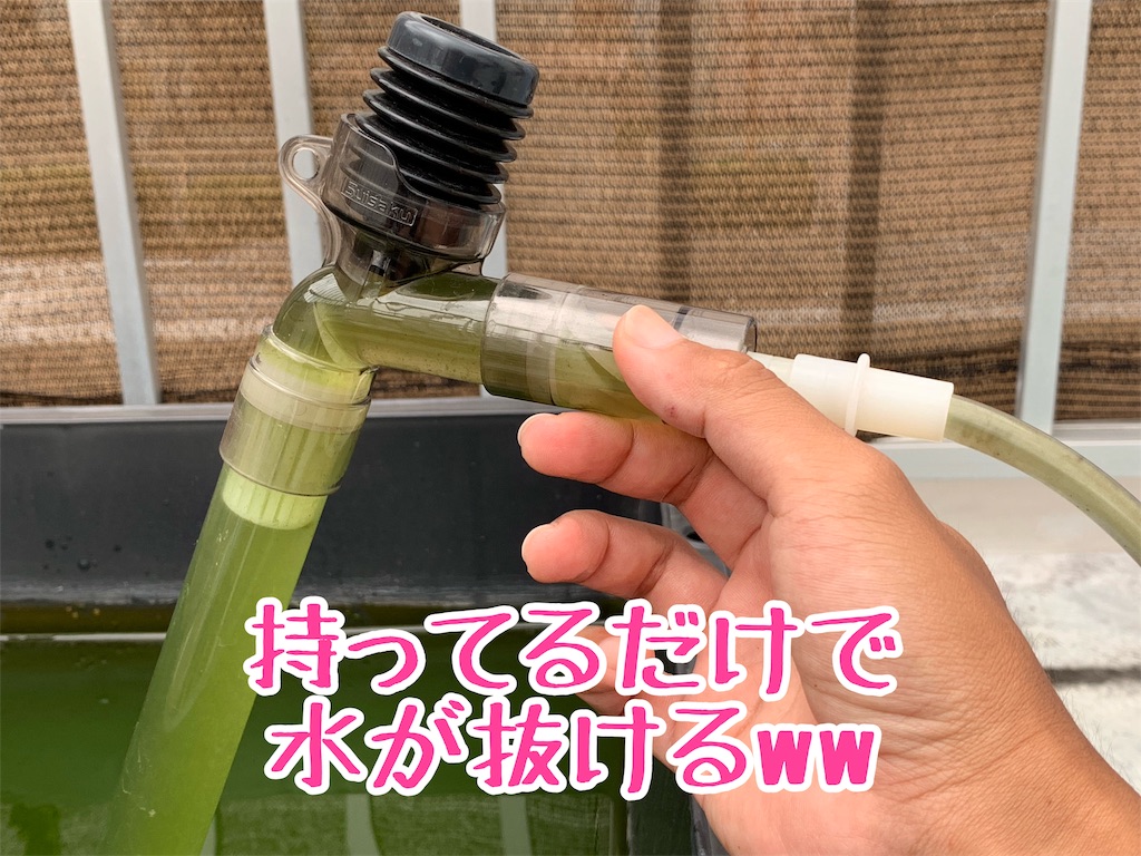 f:id:kazu-ranchu:20191009185655j:image