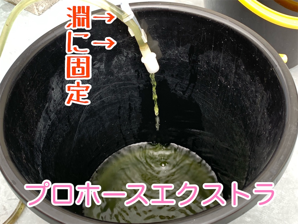 f:id:kazu-ranchu:20191009185751j:image